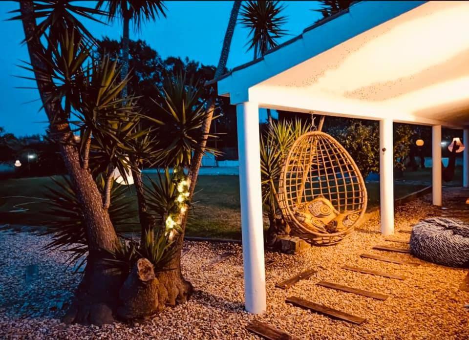 Baobab Moz Lodge 米尔芳提斯城 外观 照片